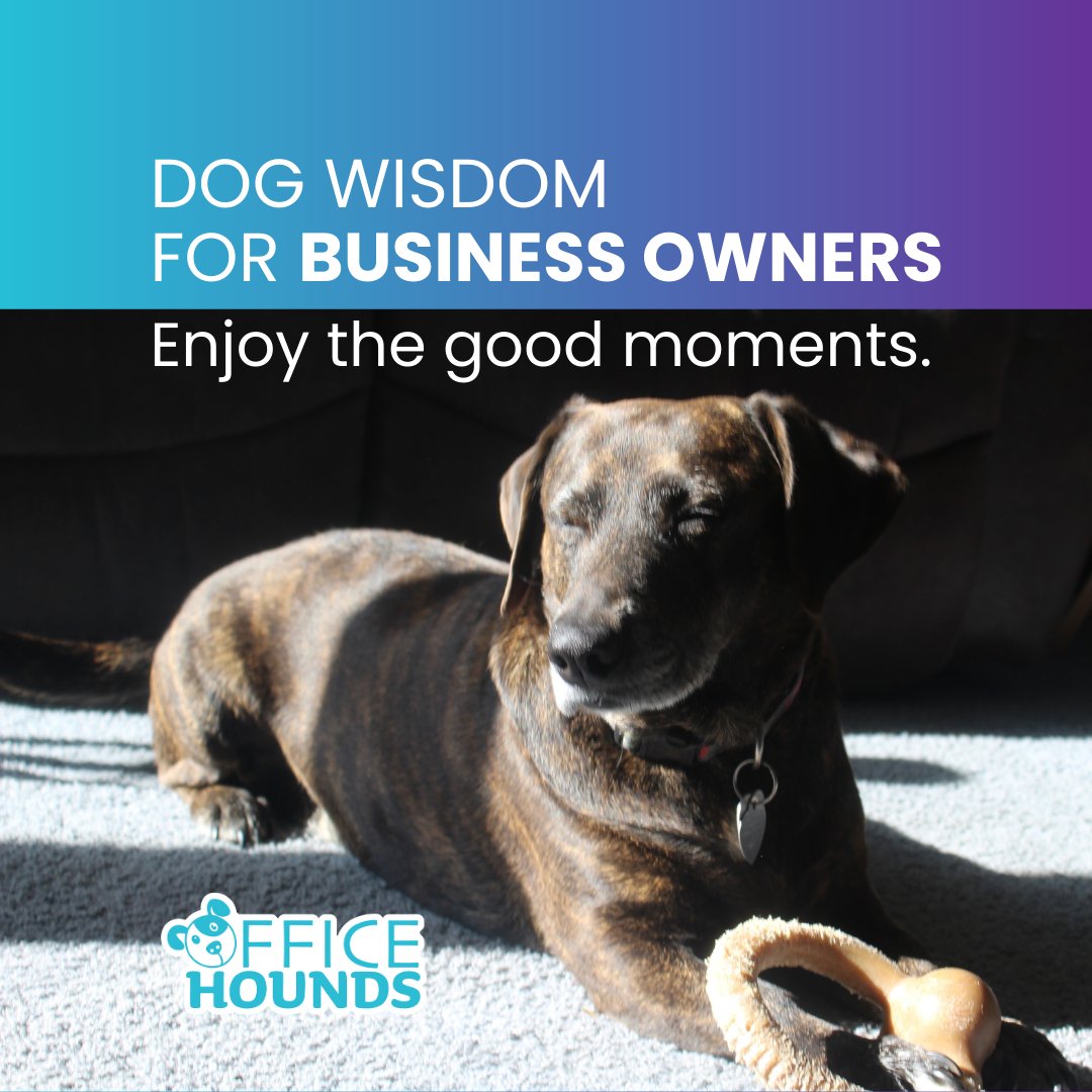 Just as the sun travels from east to west, leaving temporary patches of sunlight and shadows across your office floor, your work day has bright spots and frustrating darker moments. 

The wise business owner basks in appreciation when things are going well.