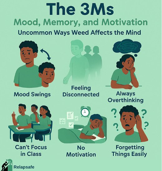 relapSafe's tweet photo. 🌿 Weed, “Cana,” “Loud”… whatever name you know it by, one thing’s clear it’s more harmful than most people realize.
You ever feel like you can’t focus no matter how hard you try?
Or maybe your mood swings are becoming too frequent to ignore?

🧵 https://t.co/thlPRRzk3z
