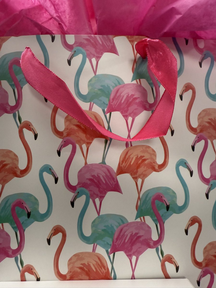 These ladies are Flamazing! 🦩Happy Appreciation day to our incredible secretaries! <a href="/CWChamps/">Chapelwood Elementary</a> #wearewayne