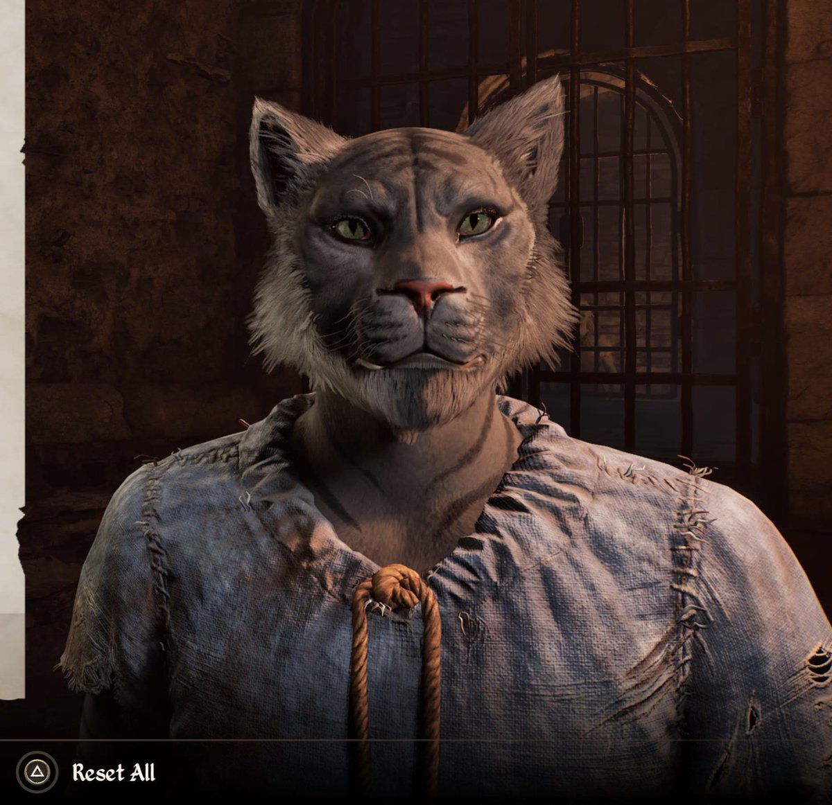 TheAmazingAri's tweet photo. When an Elder Scrolls game drops out of nowhere and you play as your cat.
#ElderScrolls #OblivionRemastered @bethesda https://t.co/c9CfgXjG8L