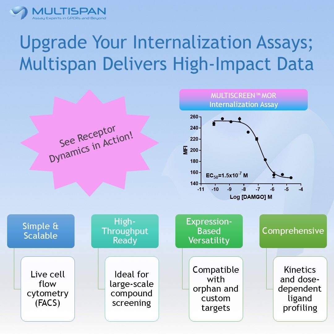 🔬 Looking to better understand receptor dynamics?
Gain valuable insights into receptor dynamics and enhance your #drugdiscovery process with #Multispan’s high-throughput solutions—designed for precision, scalability, and speed.

👉 Read more: hubs.la/Q03jDlkH0