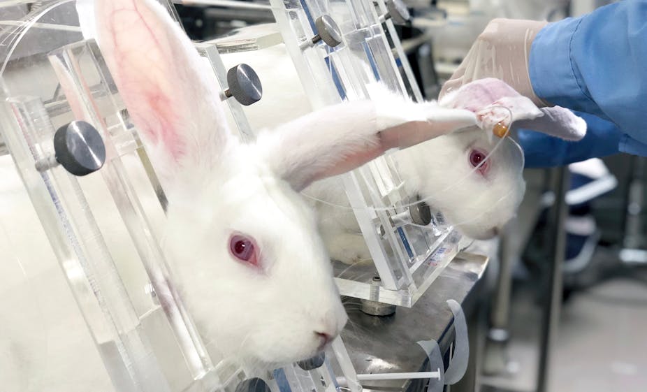 CerfiaFR's tweet image. 🐀🐒 Aujourd’hui, c’est la Journée internationale pour les animaux dans les laboratoires. Elle rend hommage à tous ceux qui ont souffert et ont été tués dans les labos.