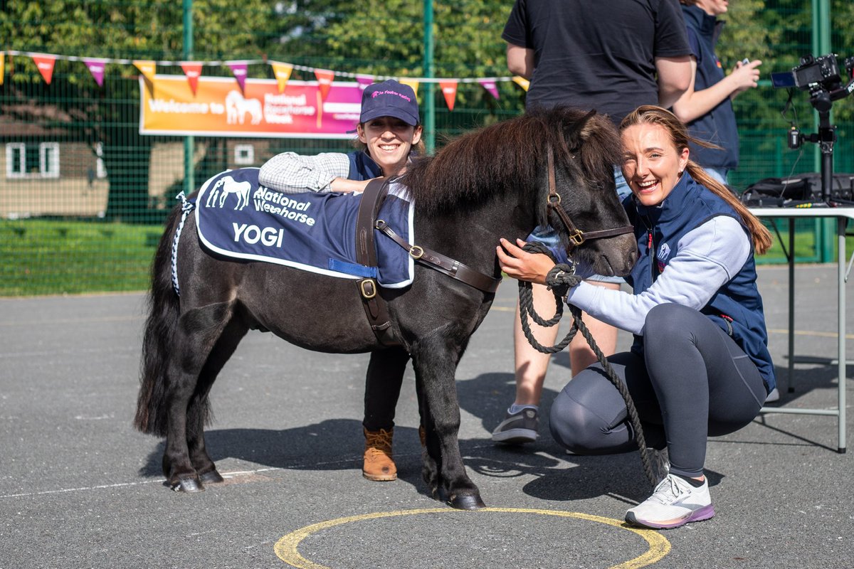 Jo Foster tweet media