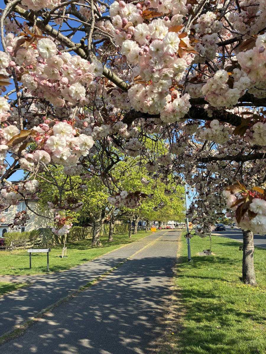 Bikes4Future's tweet image. Please join us for #CamRideHome April 6pm @TheMillCam this Friday.
Some light cross country with road alternative ending in the garden of The Empress.