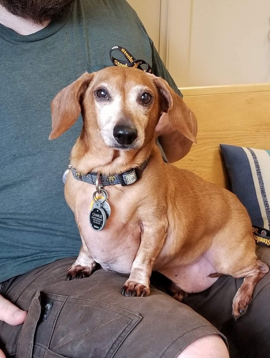 MAX(OTRB💗) tweet media
