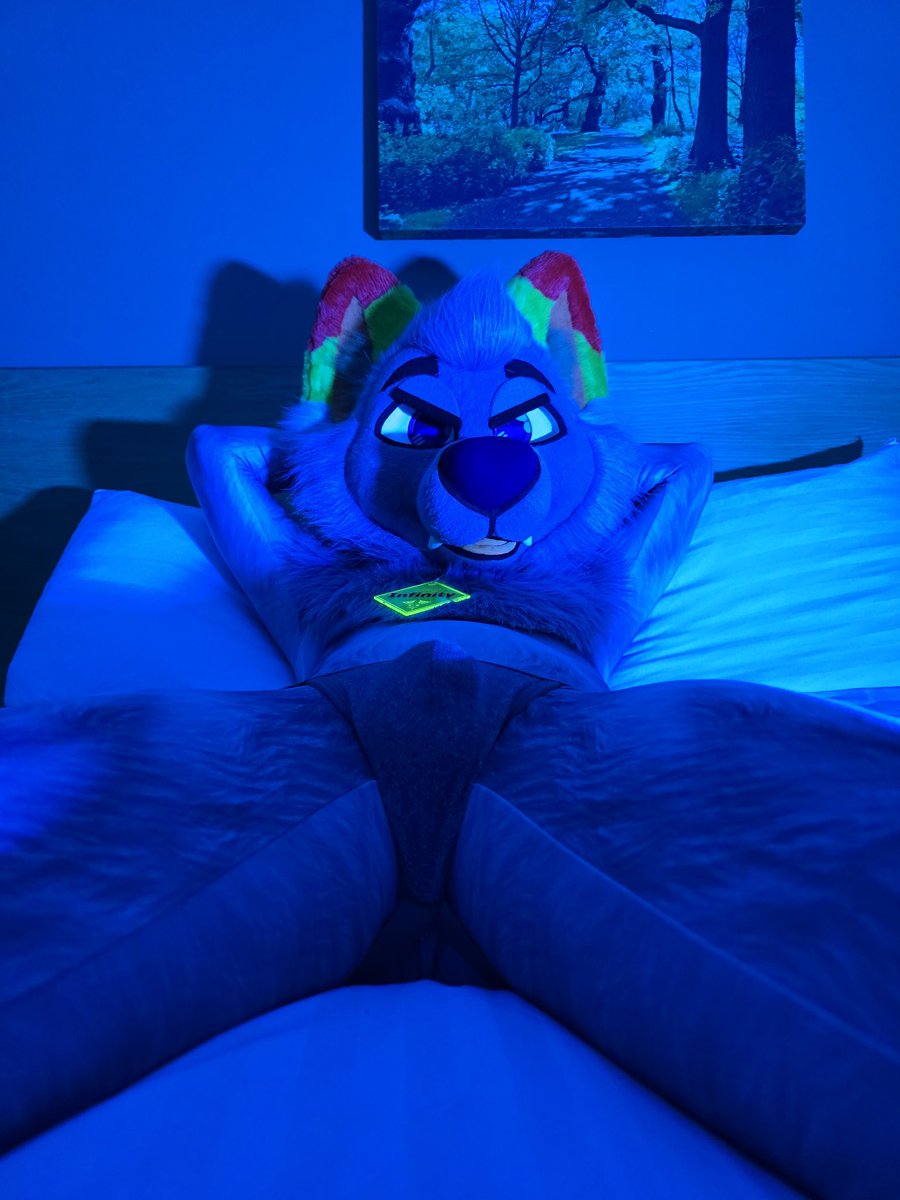 Let's touch bulges together 😎