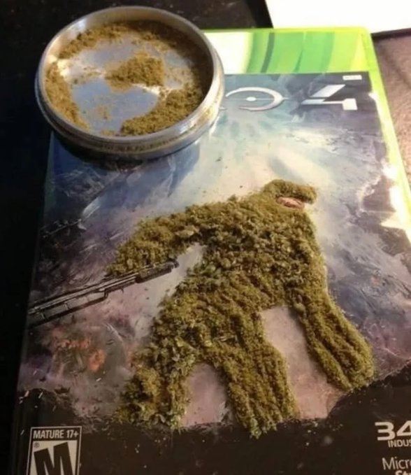 its defintely a $MLG typa night 

MLKief