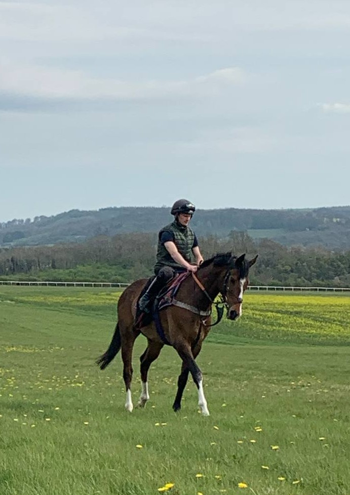 Looking forward to getting back on track <a href="/Beverley_Races/">Beverley Racecourse</a> this week with this smartest fella, #HeyCrackers &amp; <a href="/weeto_10/">Zak Wheatley</a> / #ZakWheatley 
One of the sweetest horses I've ever had the joy to work with!
Here's hoping for a long and happy career for him - with us <a href="/NewstartRacing/">Newstart Racing</a>. 🏇🤞🥂