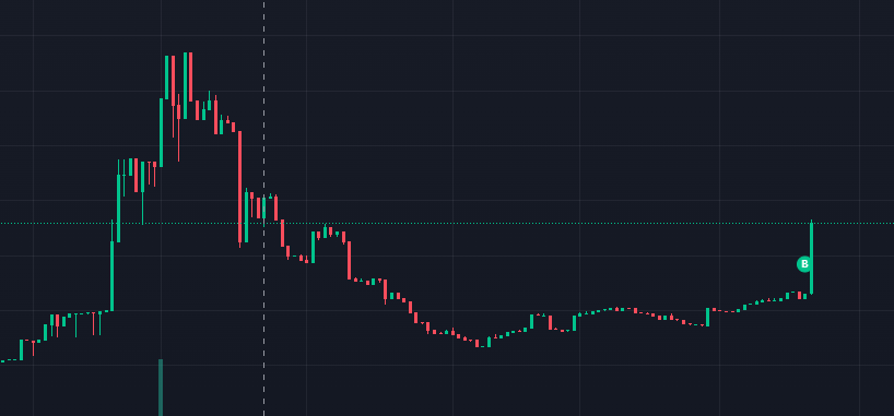 We just bought $5,000 worth of $SNUG to add to your reward pool.
solscan.io/tx/974zJrLzr7y…