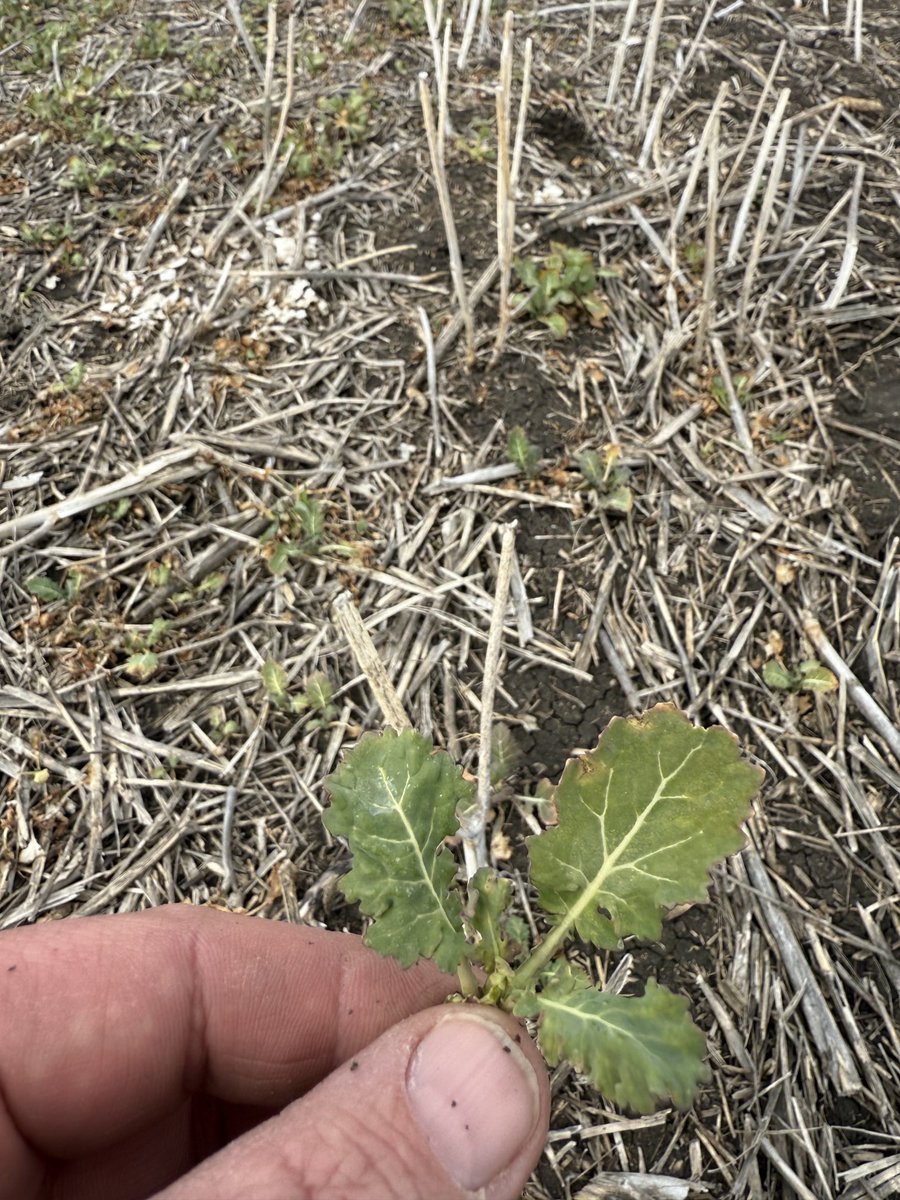 Center Field Solutions tweet media