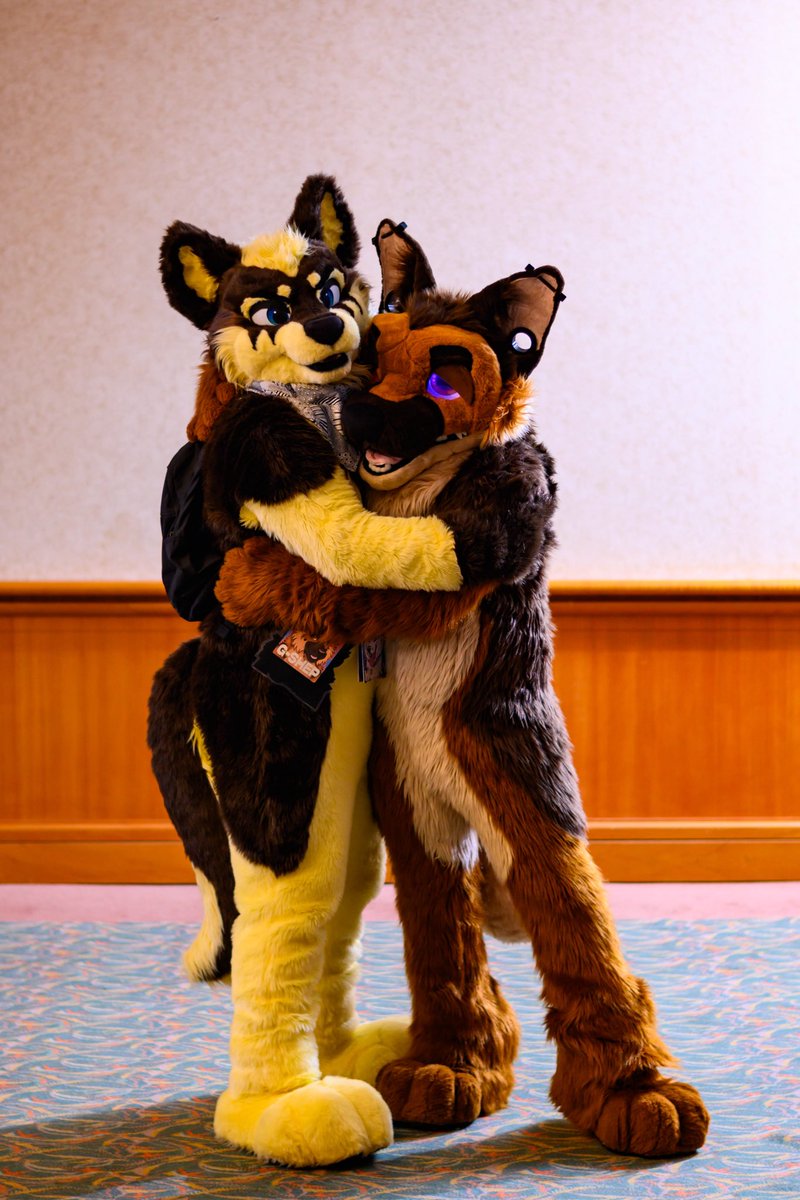 gangstaguru123's tweet image. Hey you lot! Go and wish my lovely boyfriend @Anthonyarmstro a Happy Birthday today 💚 

📸 - @Negadrake @tatosnowleopard @HuskyPause 
✂️ - @FursuitsByLacy @stitchupsuits 

#HappyBirthday