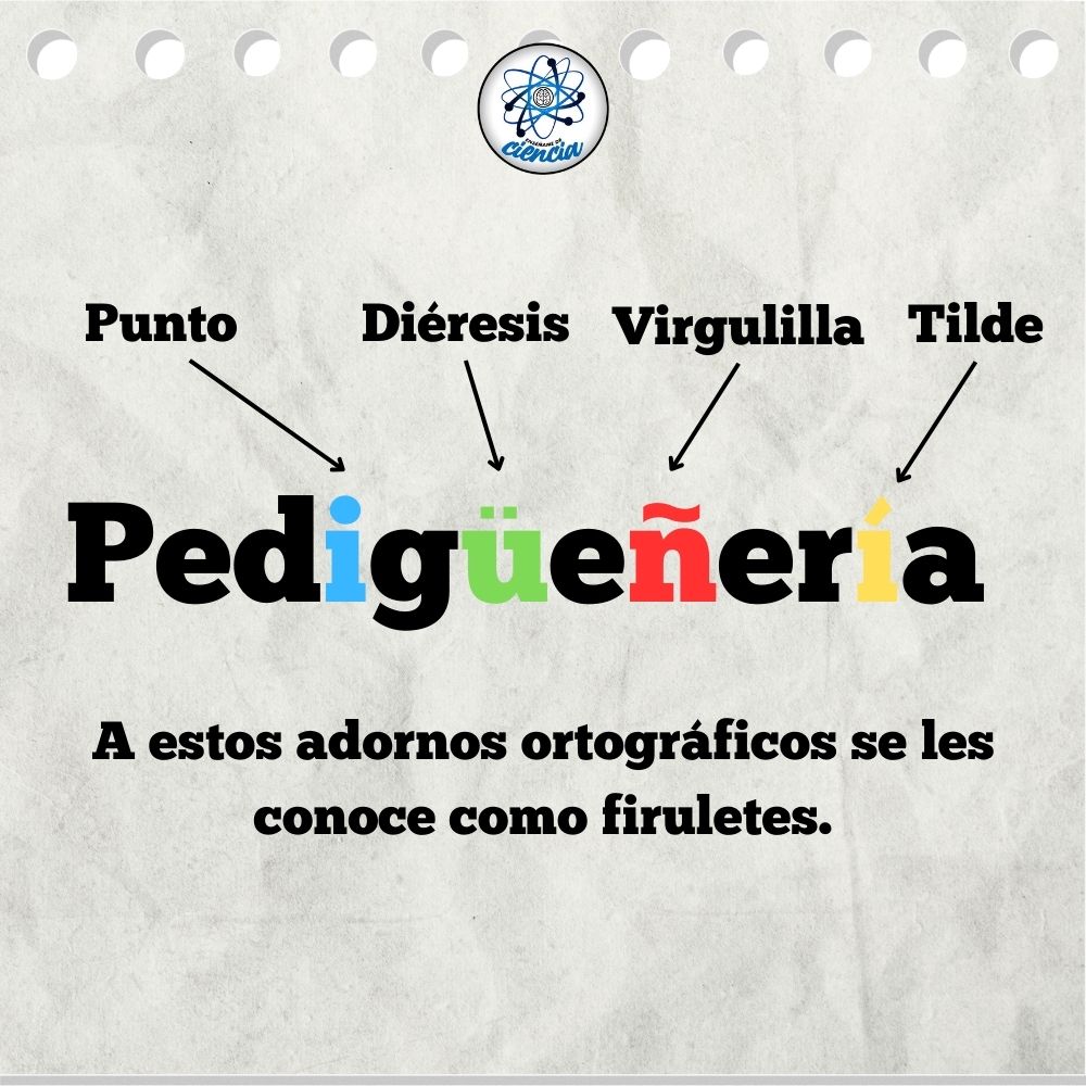 EnsedeCiencia's tweet photo. 🤓 https://t.co/wgvMSuU3dK