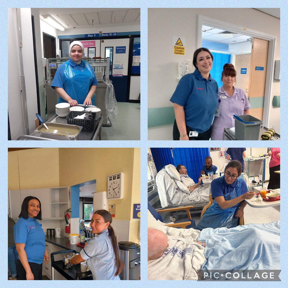 Lynette cook tweet media