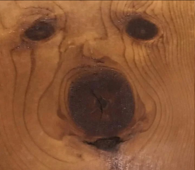 imgodkid's tweet photo. hes just a wooden board https://t.co/N3RAUyyRtf