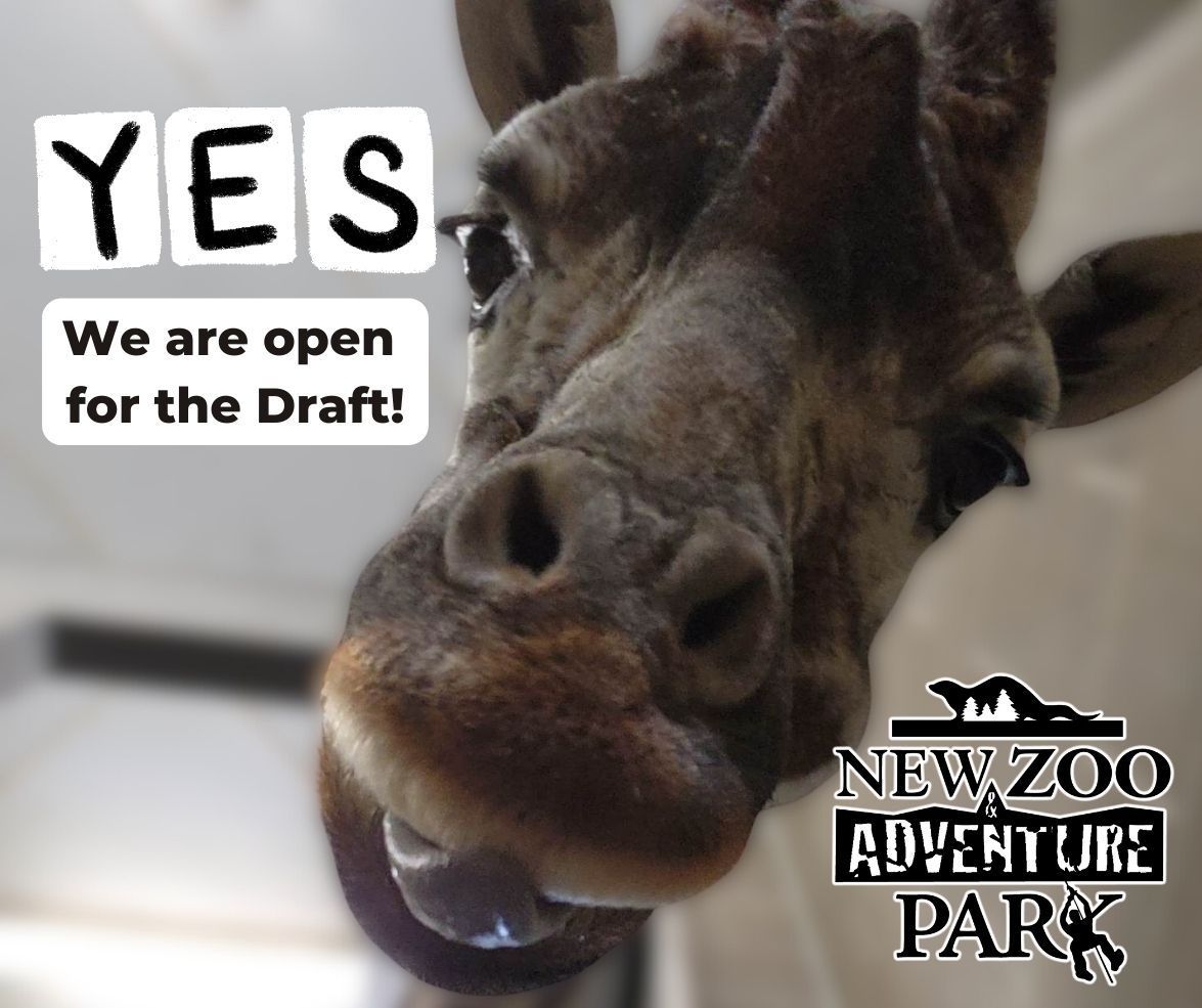 Looking to escape the draft zoo? Come visit ours! 
The NEW Zoo and the Neil Anderson Canopy Tour are BOTH open for regular hours all week long. The animals would love to see you, so come on over for a visit! 🦒 🦁 🦅 🐊 🐢 🐧