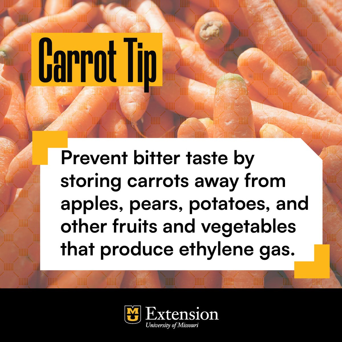 Want to keep your carrots sweet? Store them away from apples, pears, bananas, melons, and other produce that releases ethylene gas, as carrots become bitter when exposed to it. These veggies are rich in Vitamins A and K, potassium, and fiber, so stock up!

#WellnessWednesday