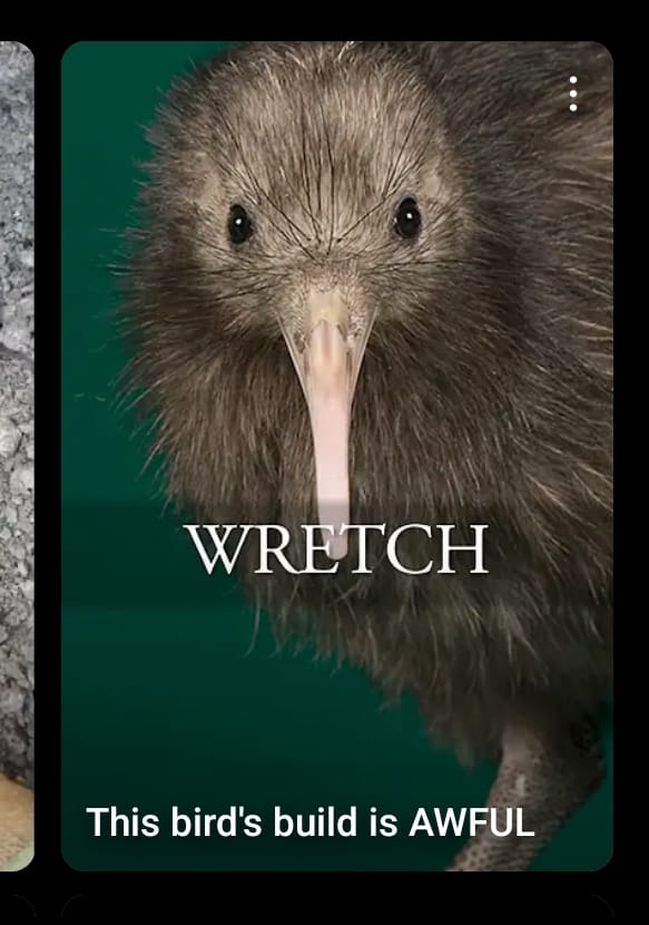 kiwi (@kiw1sss_) / Posts / X