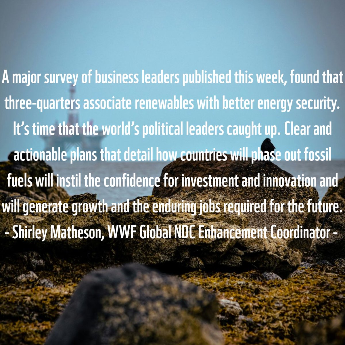WWF Climate & Business (@wwfclimatebiz) on Twitter photo  WWF Climate & Business (@wwfclimatebiz) on Twitter photo