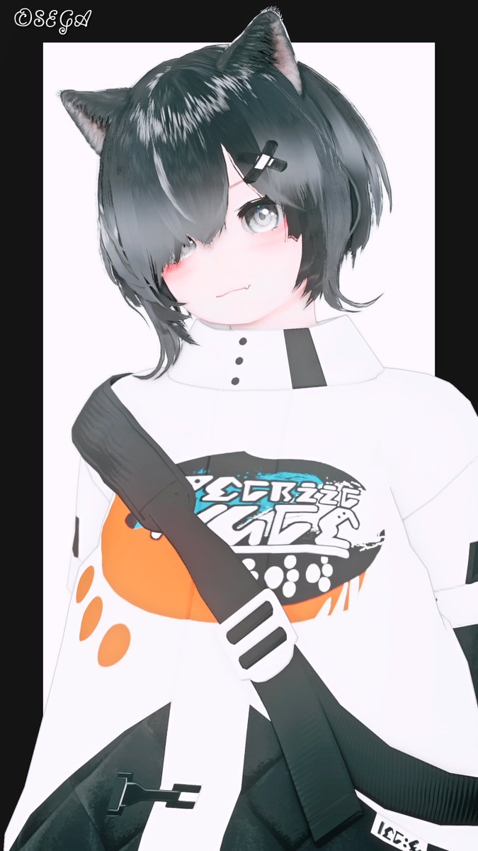 #PSO2NGS_SS