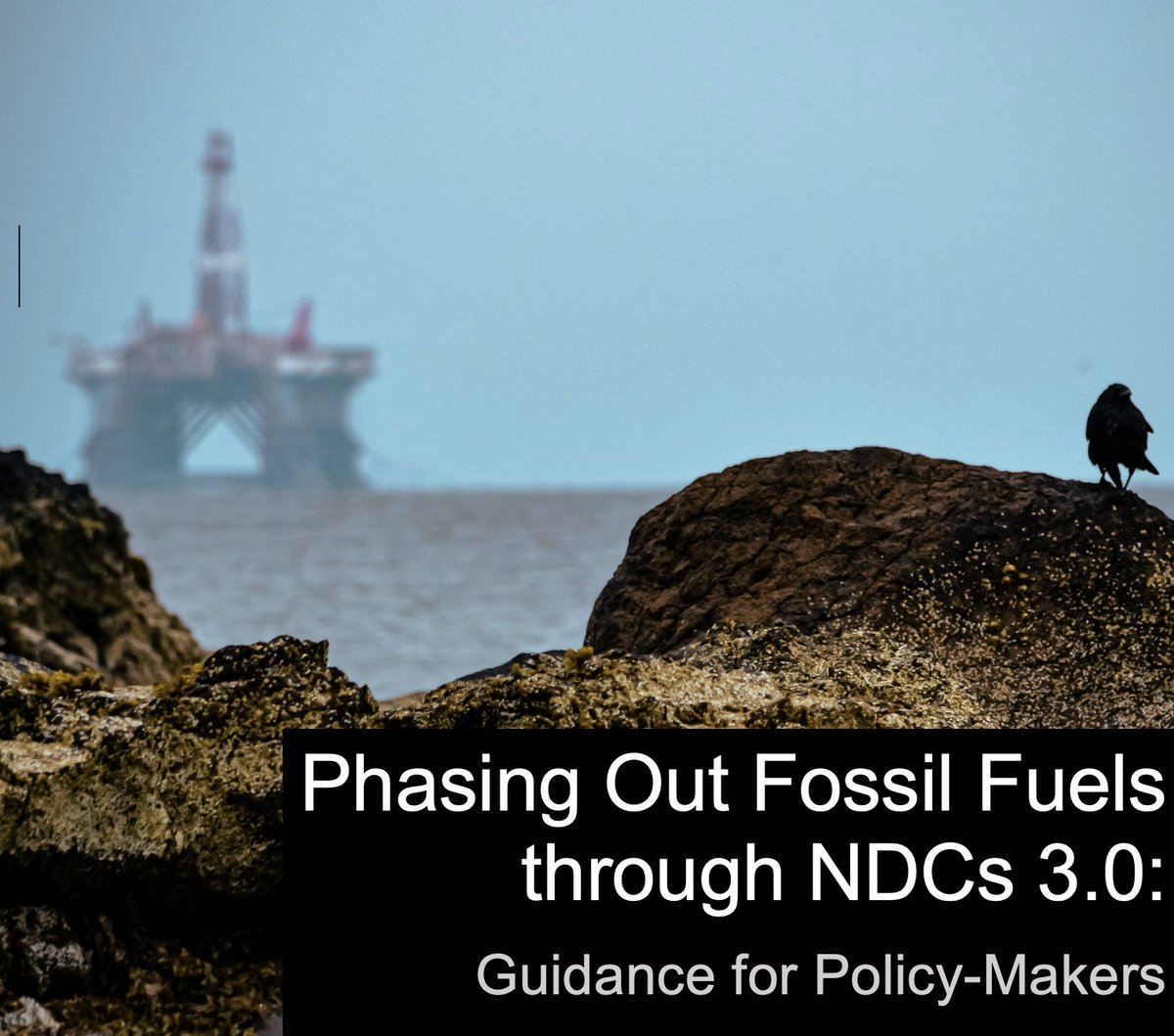 Achieving energy security for all means one crucial step: ending the world’s dependence on #FossilFuels and scaling up #RenewableEnergy. WWF calls on countries to include phasing out fossil fuels in their new national climate plans. Here’s guidance on how govts could practically