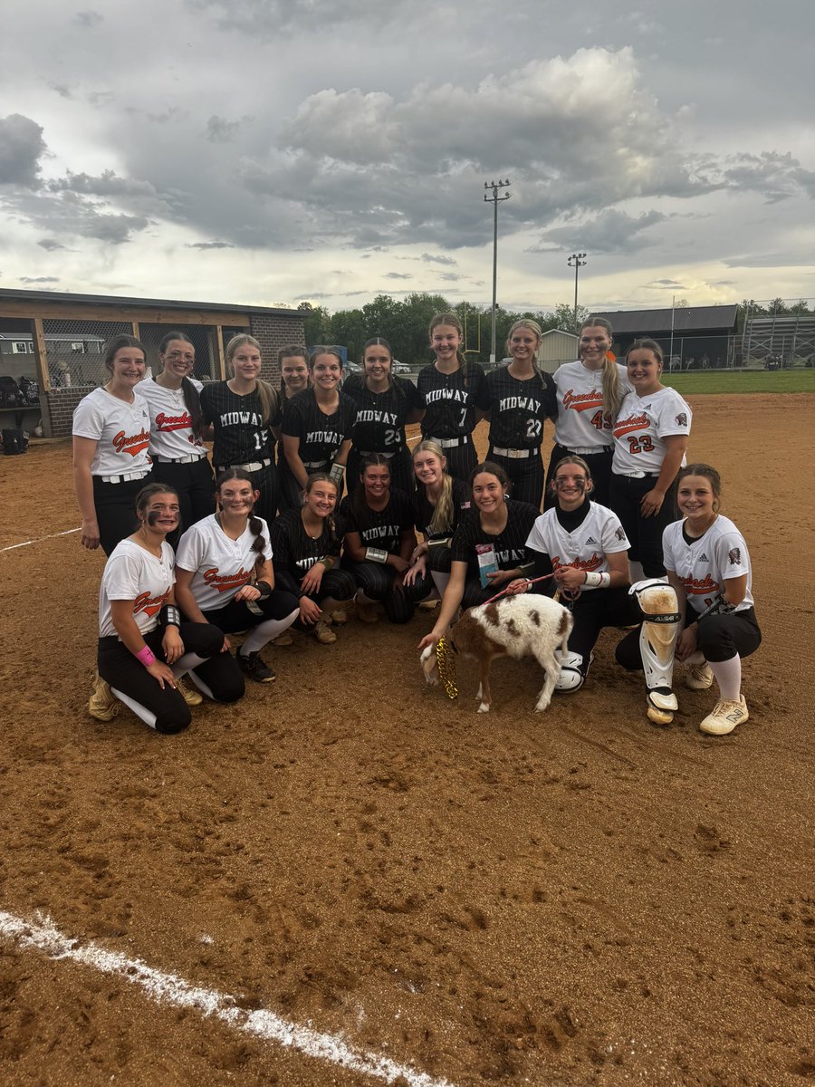 When in lightening delay….⚡️⚡️ Ft. Hank the Sheep!