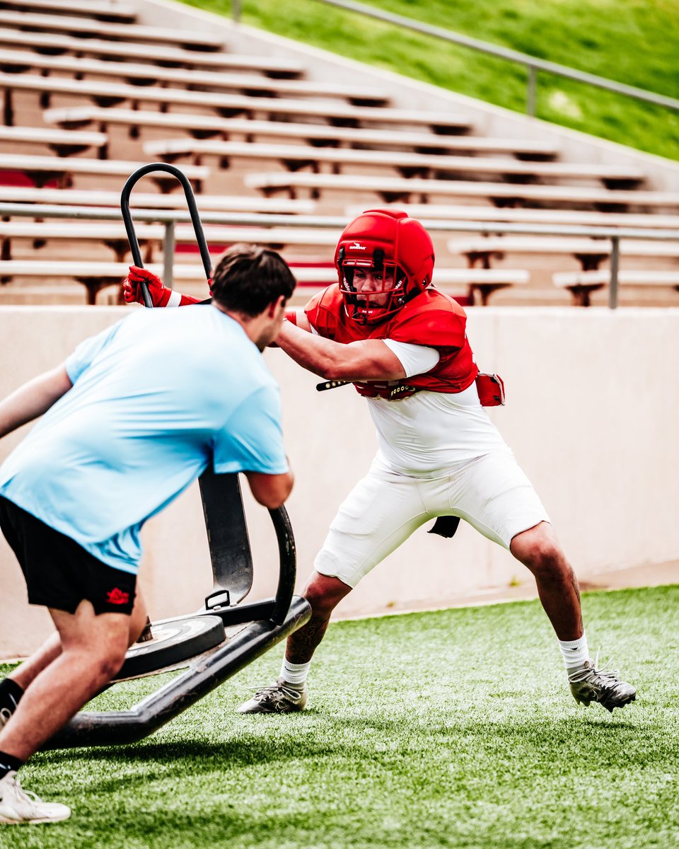 Lucas Lucero ♱⃓ tweet media