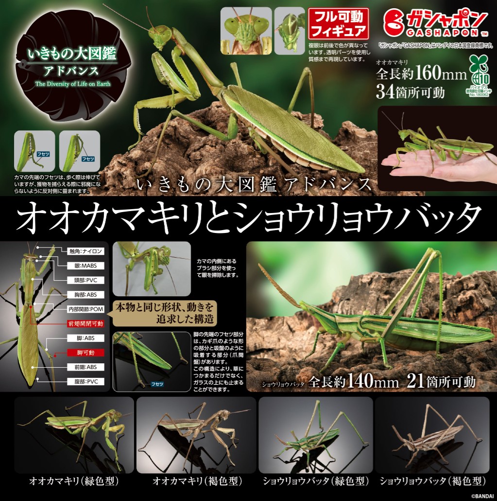 商品情報】 ／ いきもの大図鑑アドバンス オオカマキリとショウリョウ