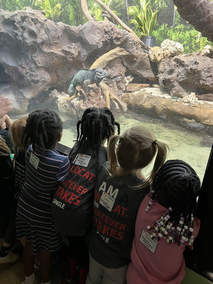 Mrs. Fawkes (@fawkesden) on Twitter photo Thank you <a href="/RISDFoundation/">RISD Foundation</a> for making this experience <a href="/KidsAquarium/">Children's Aquarium Dallas at Fair Park</a> possible for our students! #risdprek #risdbetheone Thank you <a href="/RISDFoundation/">RISD Foundation</a> for making this experience <a href="/KidsAquarium/">Children's Aquarium Dallas at Fair Park</a> possible for our students! #risdprek #risdbetheone