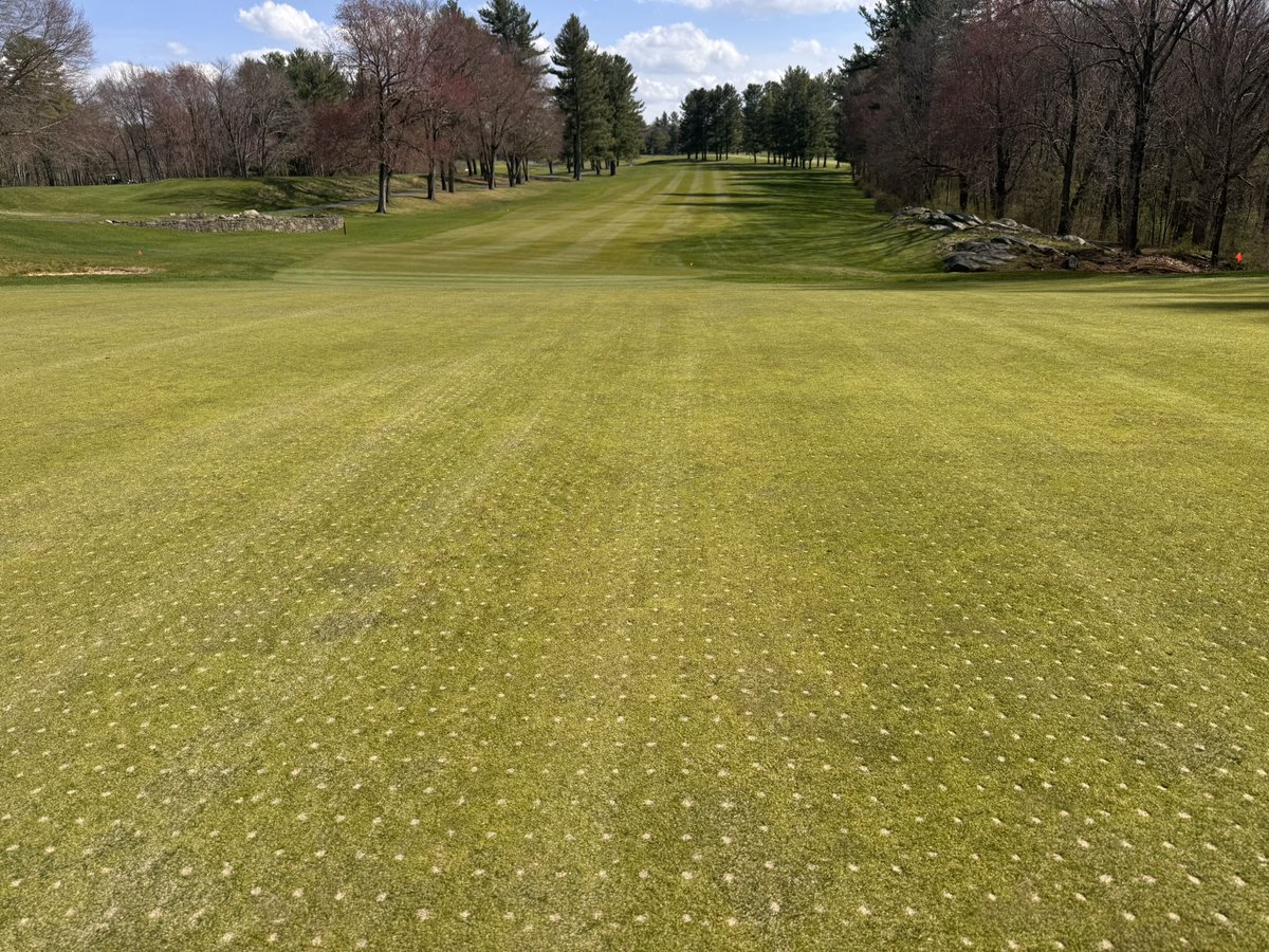 Spring aeration 2025, 2 days down 2 days to go.