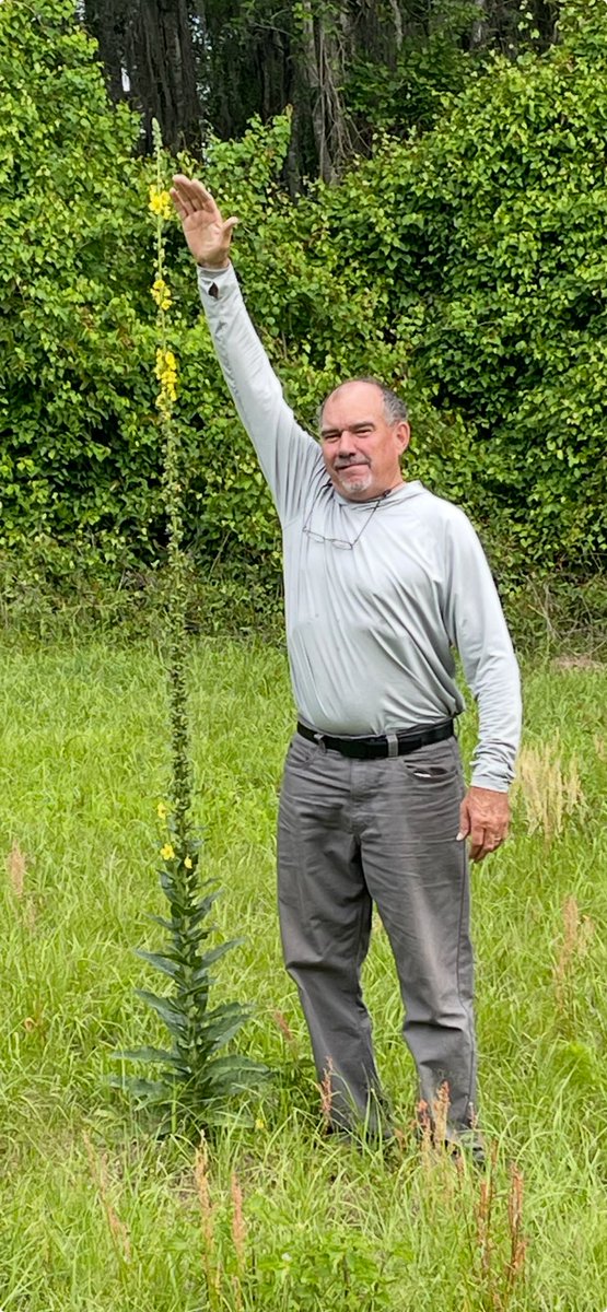 Jon Cockerham tweet media