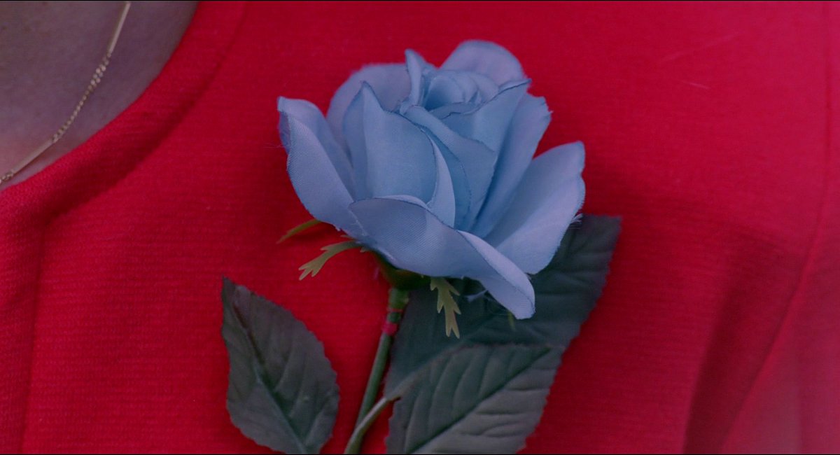 Black Lodge Cult tweet media