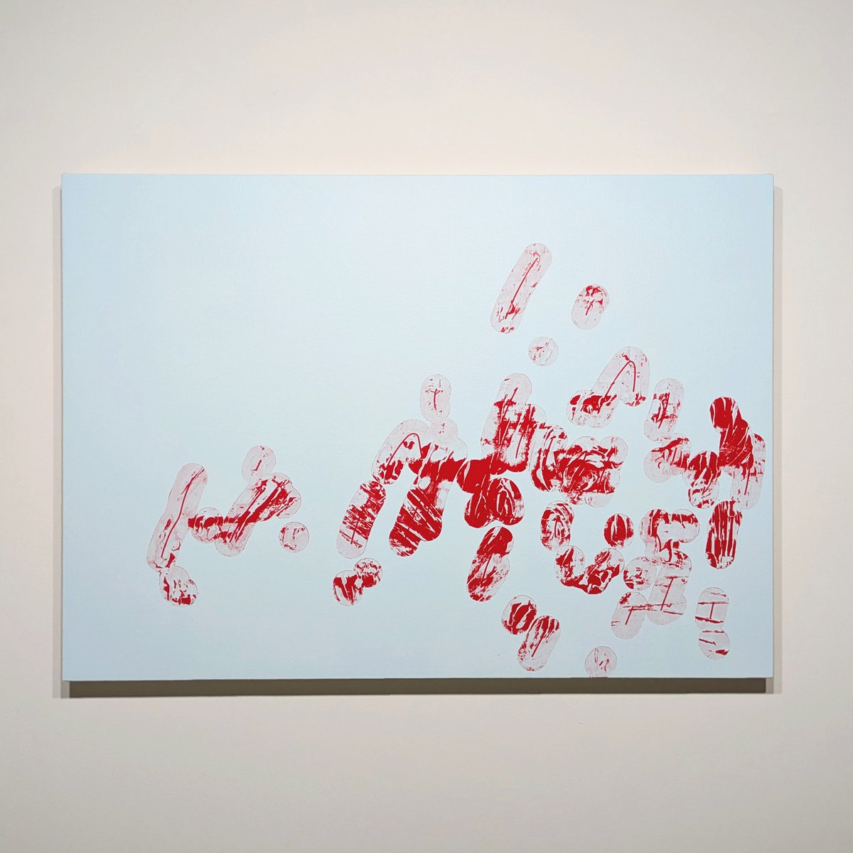 菊野祥希 tweet media