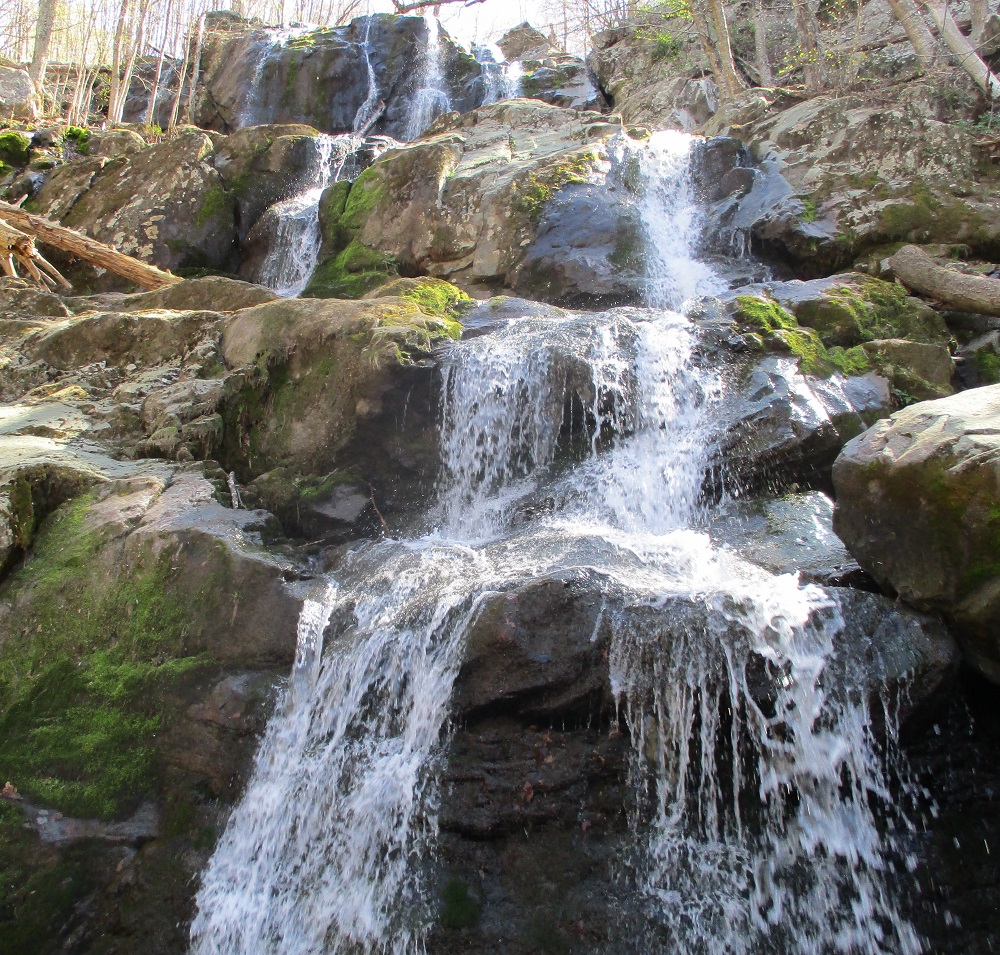 Bigfoot (@big_foot) on Twitter photo Dark Hollow Falls, in Shenandoah National Park (Virginia) Dark Hollow Falls, in Shenandoah National Park (Virginia)