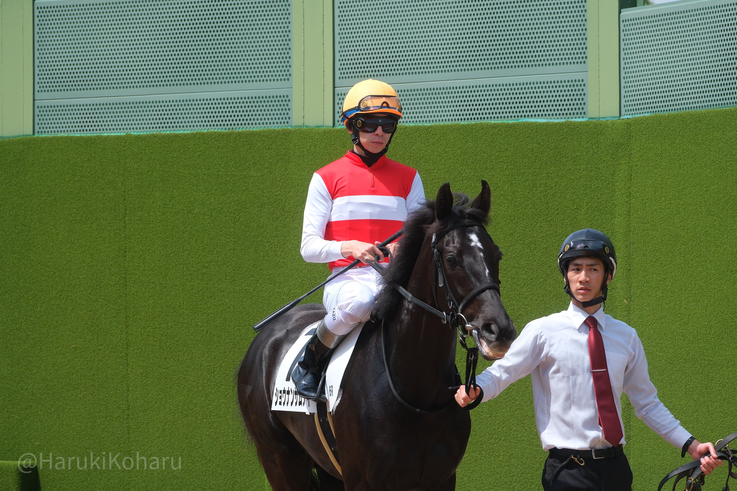 馬上の人 上里直汰騎手は鎖骨と肋骨の骨折、肺挫傷が判明 22日の函館7Rで