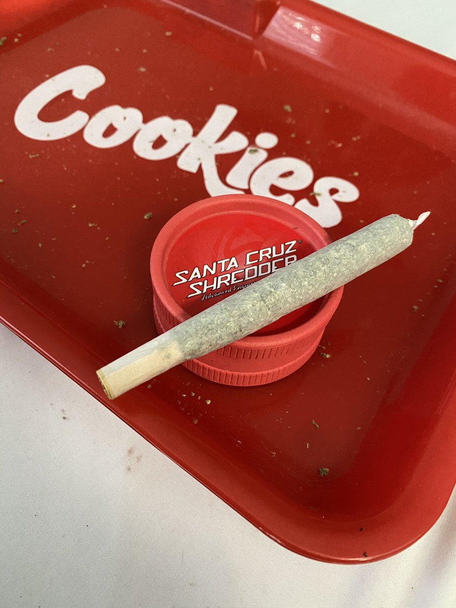 milaamonsta tweet media