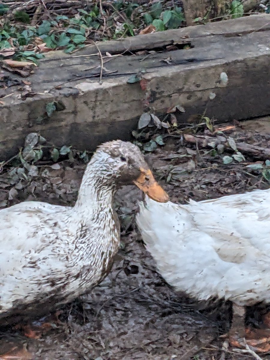 Me after doing a brakes job for people who buy the cheapest parts they can find.