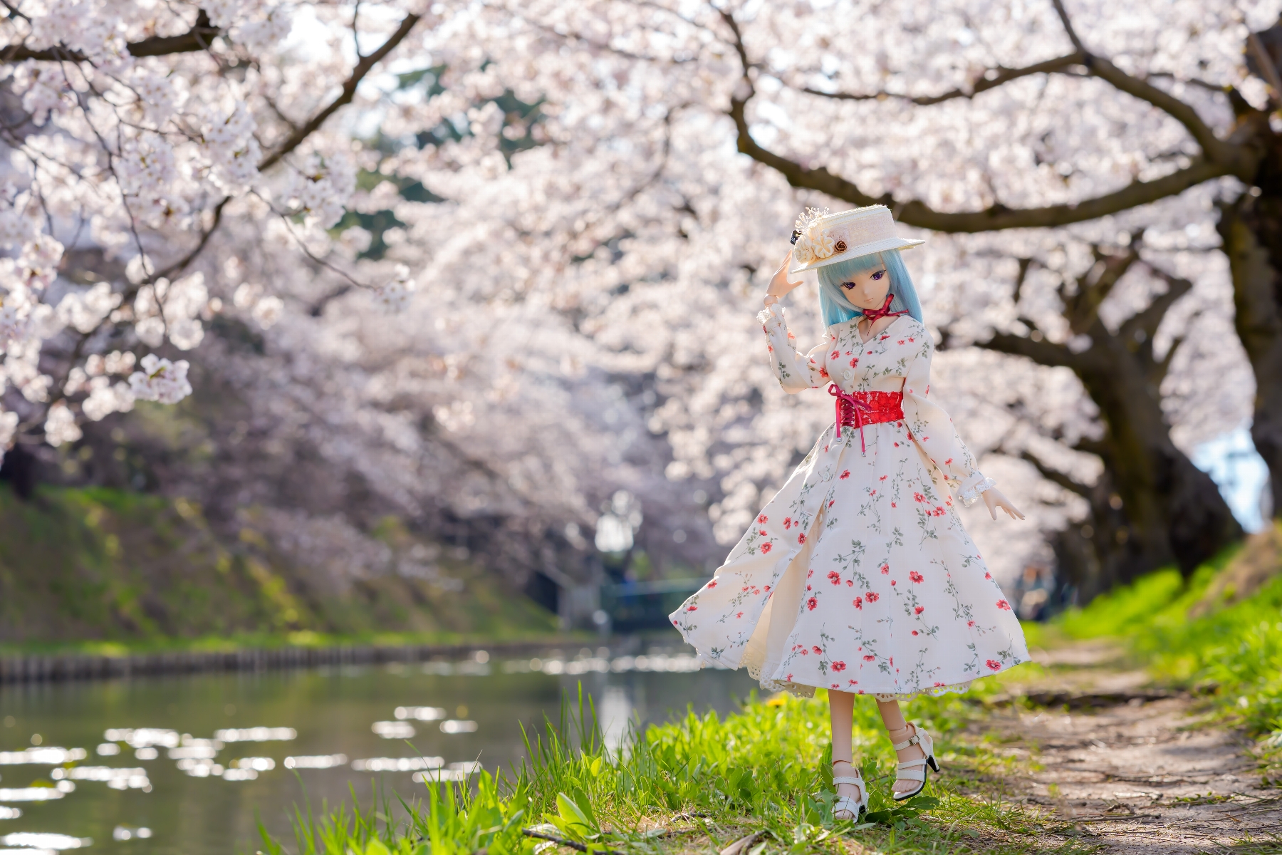 TOAClaris🌸とあ (@toaclaris) / X TOAClaris🌸とあ (@toaclaris) / X