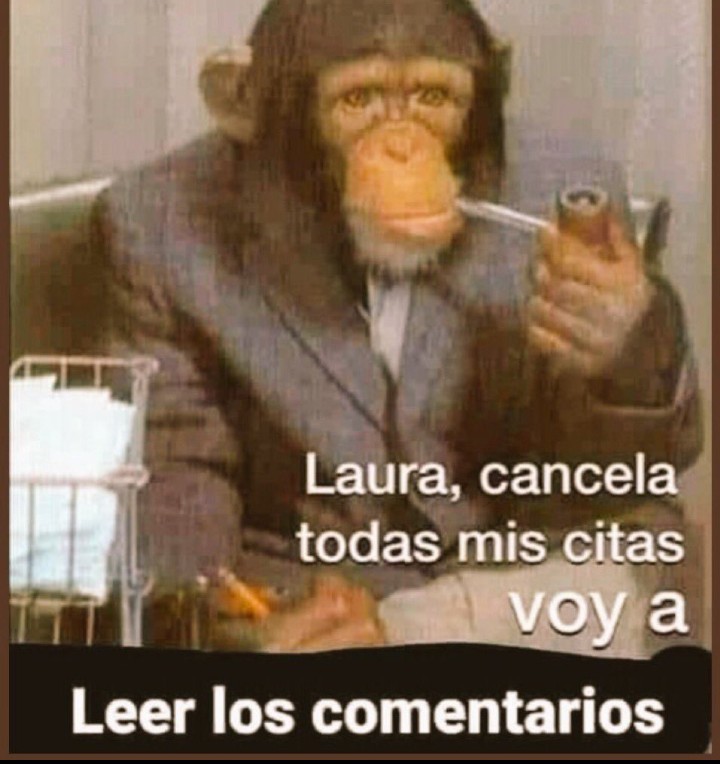 <a href="/ShitpostRandom/">Shitpost Aleatorio</a>