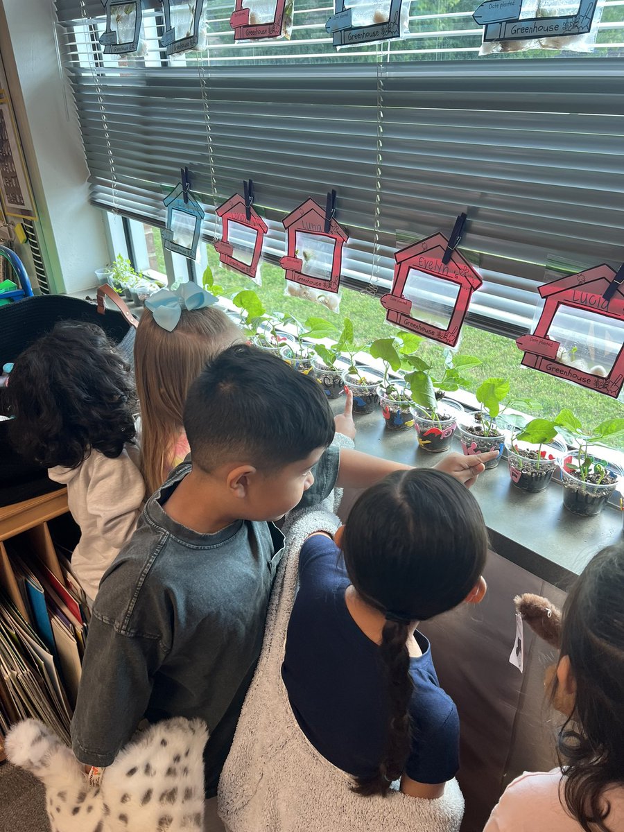 Angelika Handley tweet media