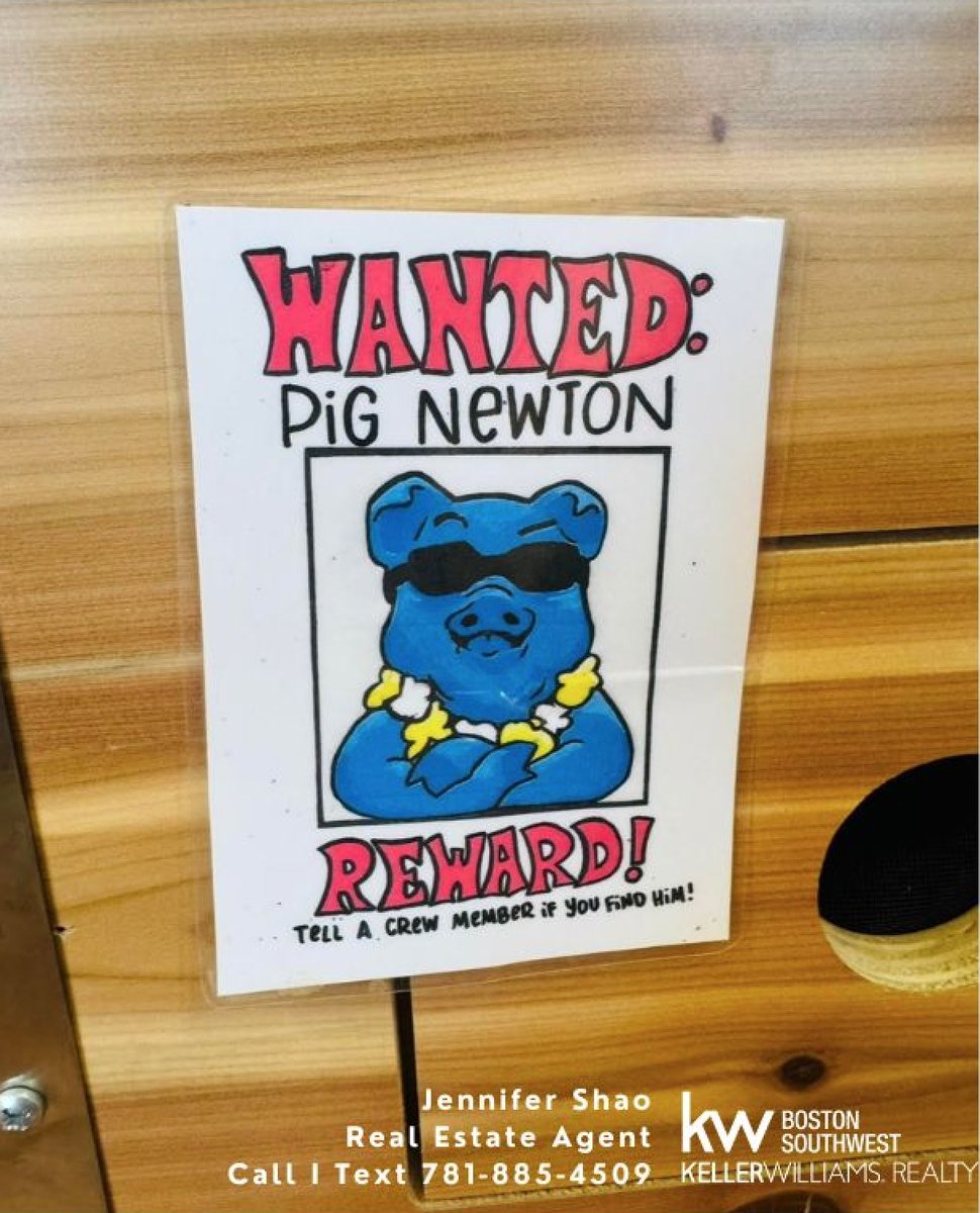 JennShaoRealtor's tweet photo. Wanted Pig in Newton 👀

Spotted this fun little sign while out running errands in Newton!
Apparently there’s a sneaky pig hiding somewhere in a local shop.

Have you seen anything like this around town? 🤔
Comment below if you’ve found the pig 😊 https://t.co/b3Av7uh3y0