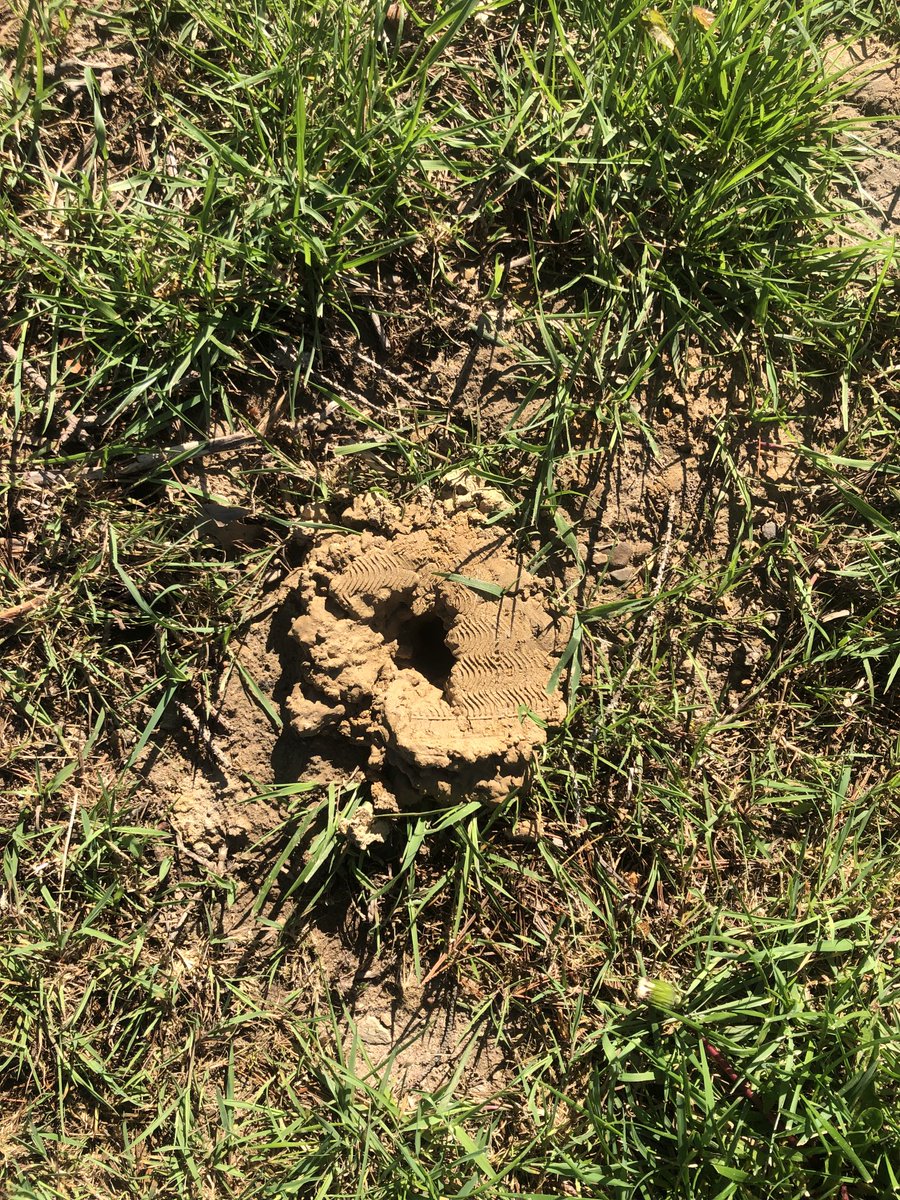 jtturf1's tweet image. Can u ID this?