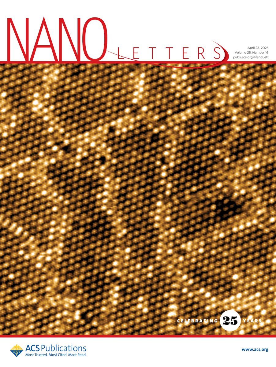 Awesome to see our work featured on the front cover of <a href="/NanoLetters/">Nano Letters</a>!