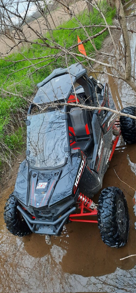 Who else likes to play in a creek?