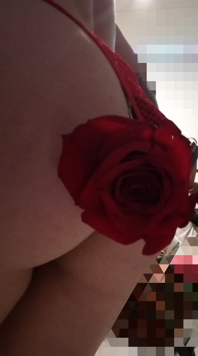 Feliz sant Jordi!!!!