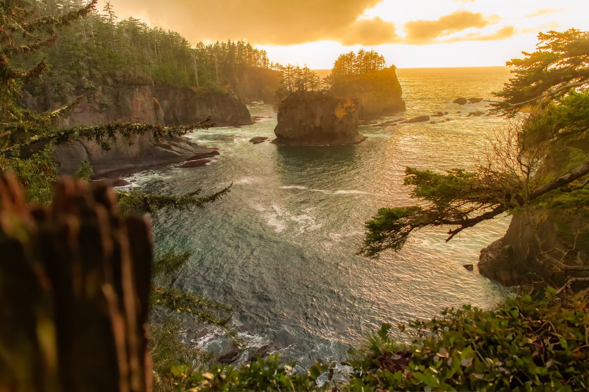 WeemsPhoto's tweet photo. Cape Flattery, Washington. The most NW point in the continental US.

#photooftheday #olympicnationalpark #photography #landscapephotography #adventure #getoutside https://t.co/JMsQOlDdDK