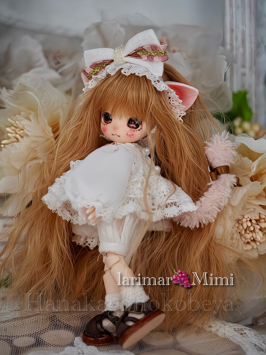 lashoriyeash's tweet image. lapisさまにお納めします💖
larimar(@larimarworks)さまのMimiちゃん姉妹です。お洋服は仮装舞踏会(@kasou_butoukai)さま。簡単なイメージをお伝えしただけなのにこんな可愛いお洋服を仕立ててくださいました💖春をお届けするクリオネにゃんこ。よろしくお願いいたします。
#あいらぴ
#花かごの小部屋