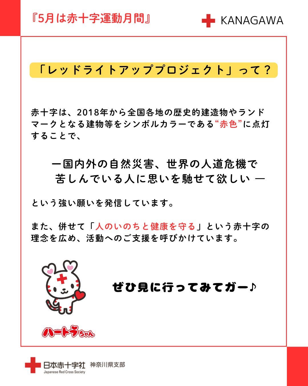 赤本　医学部　バラ売り可　2019年2021年2022年 福岡大学（医学部医学科を除く－学校推薦型選抜・一般選抜系統別