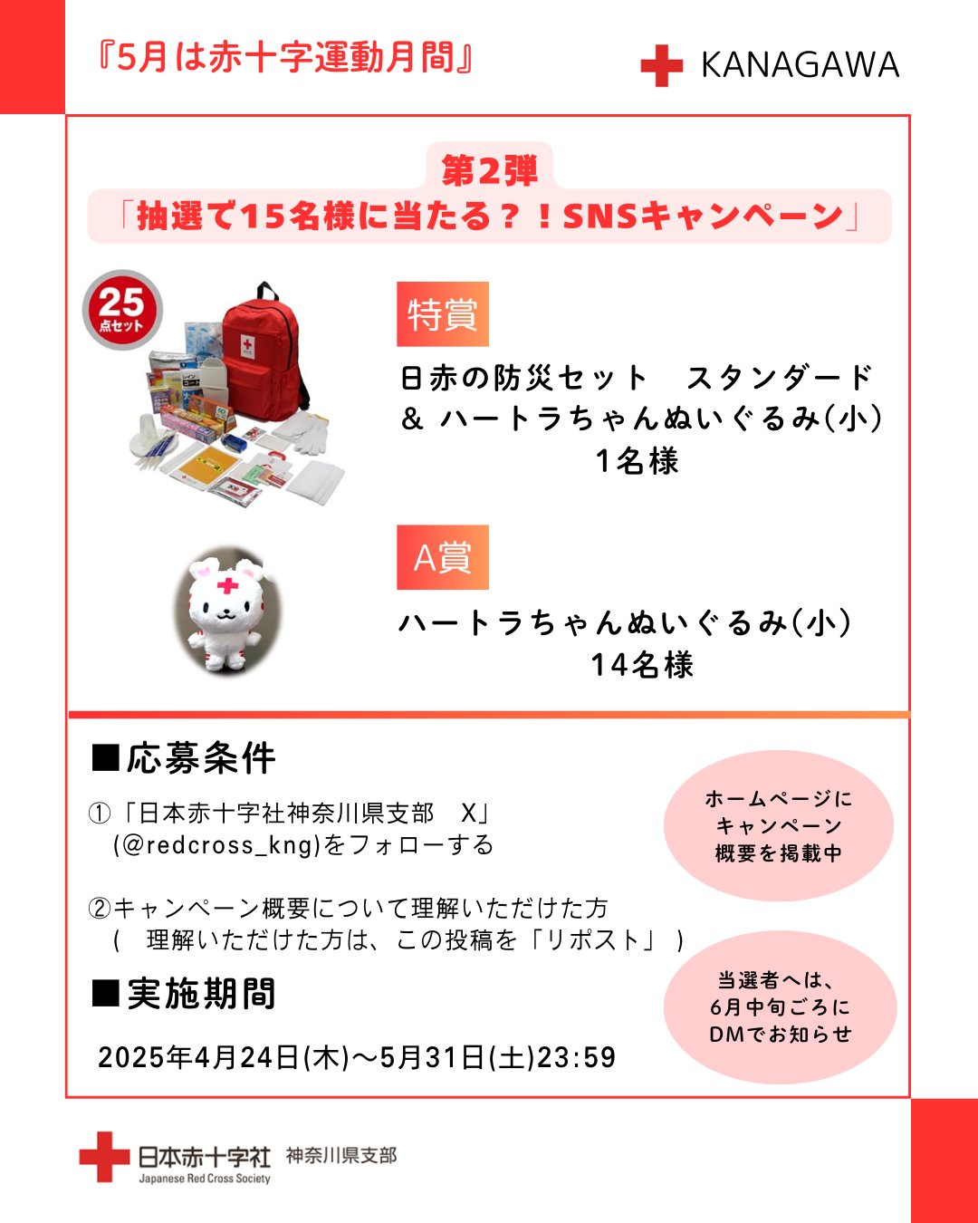 大学入試 赤本 医学部