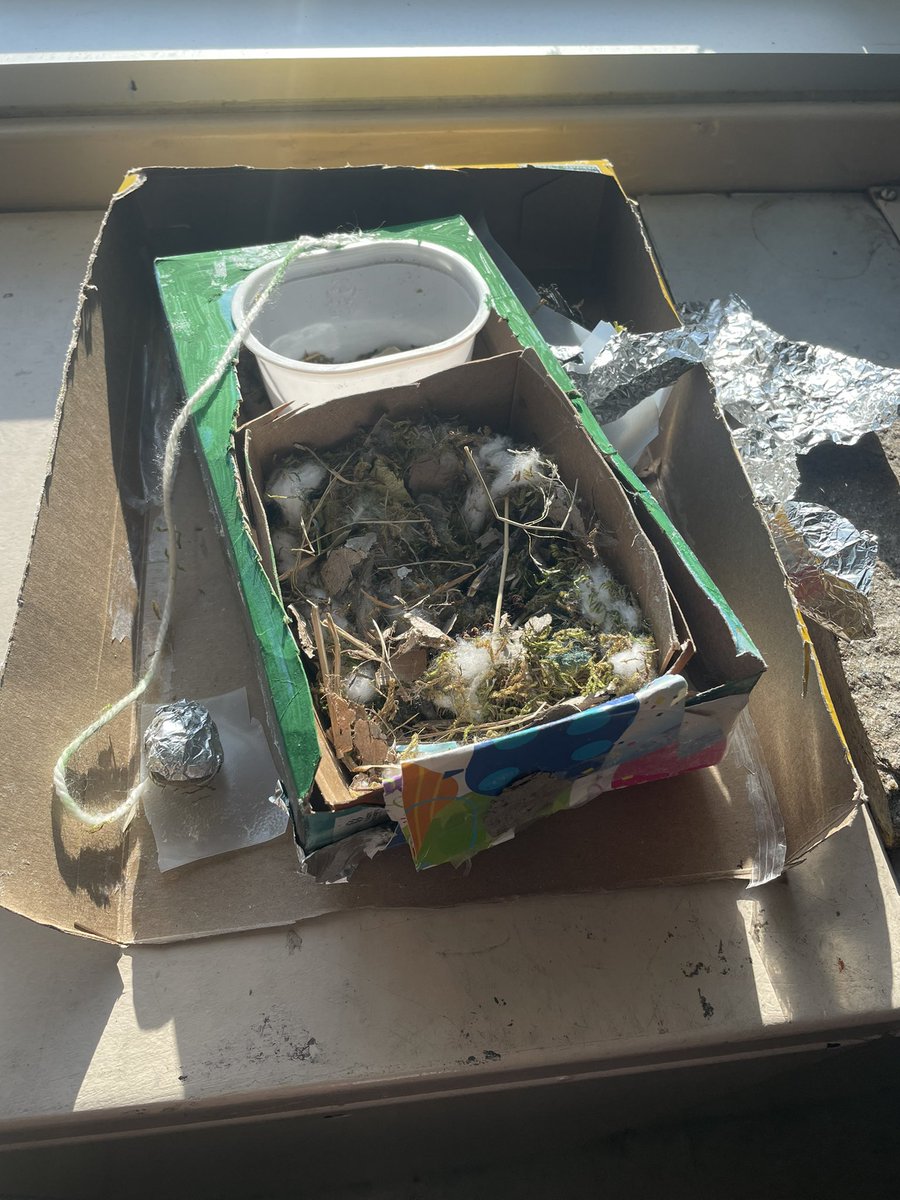 Valley View School tweet media