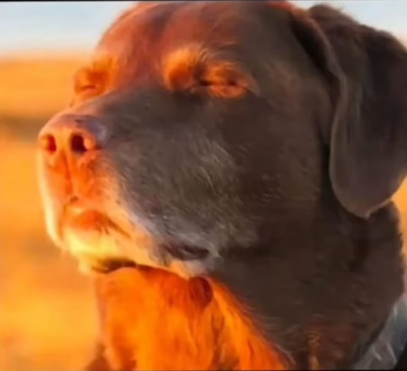 moved to new account tweet media